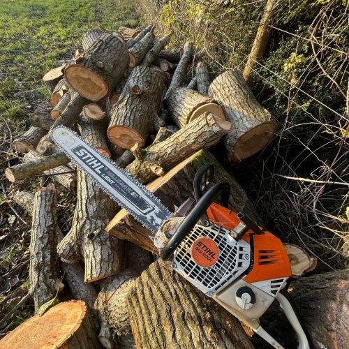 Tree Pruning Service