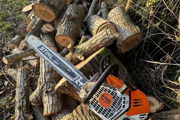 Tree Pruning Service