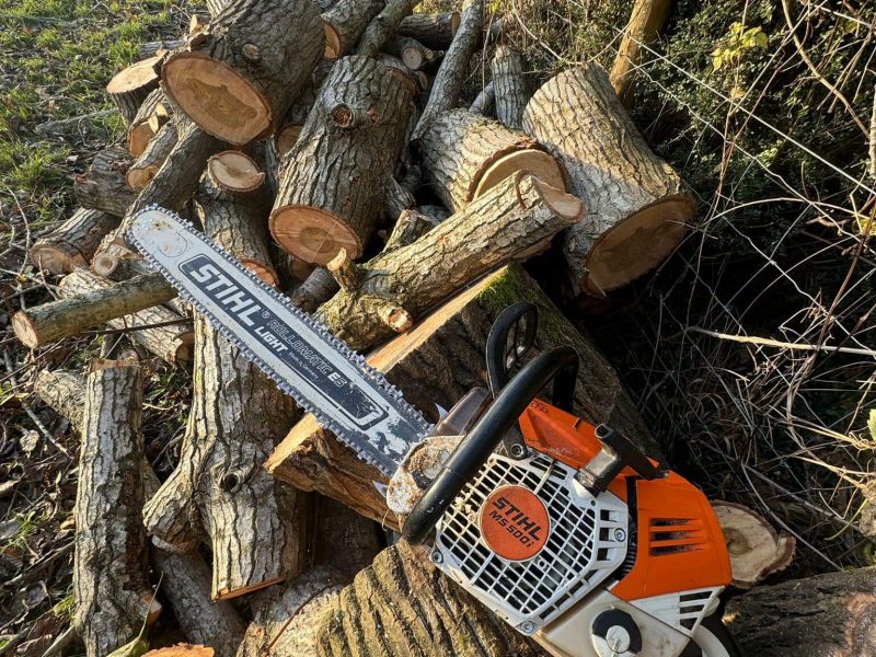 Tree Pruning Service