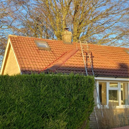 Roof Cleaning