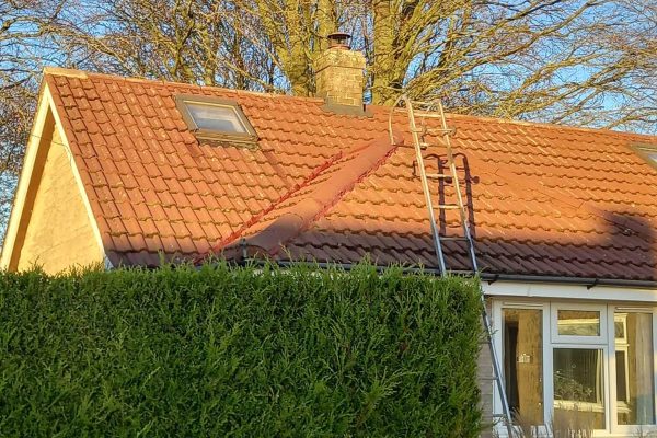 Roof Cleaning
