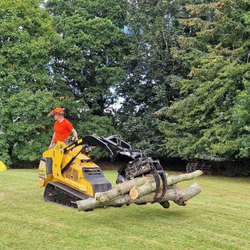 Tree Cutting Service