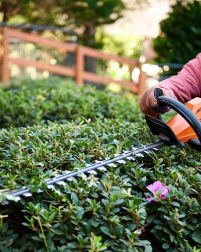 how-to-trim-hedges2023-step-4