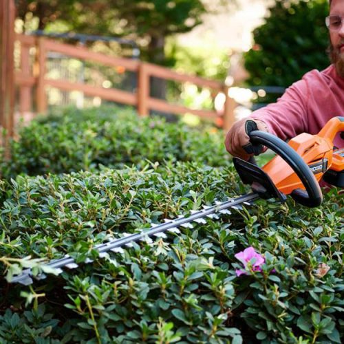 how-to-trim-hedges2023-step-4
