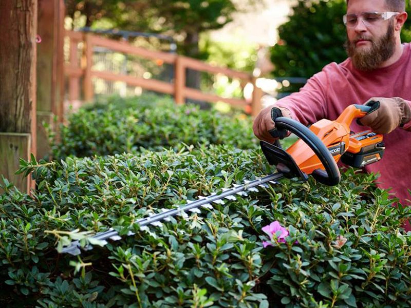 how-to-trim-hedges2023-step-4