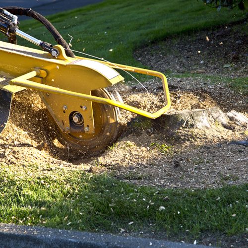 iStock-186690958_72dpi_1000px